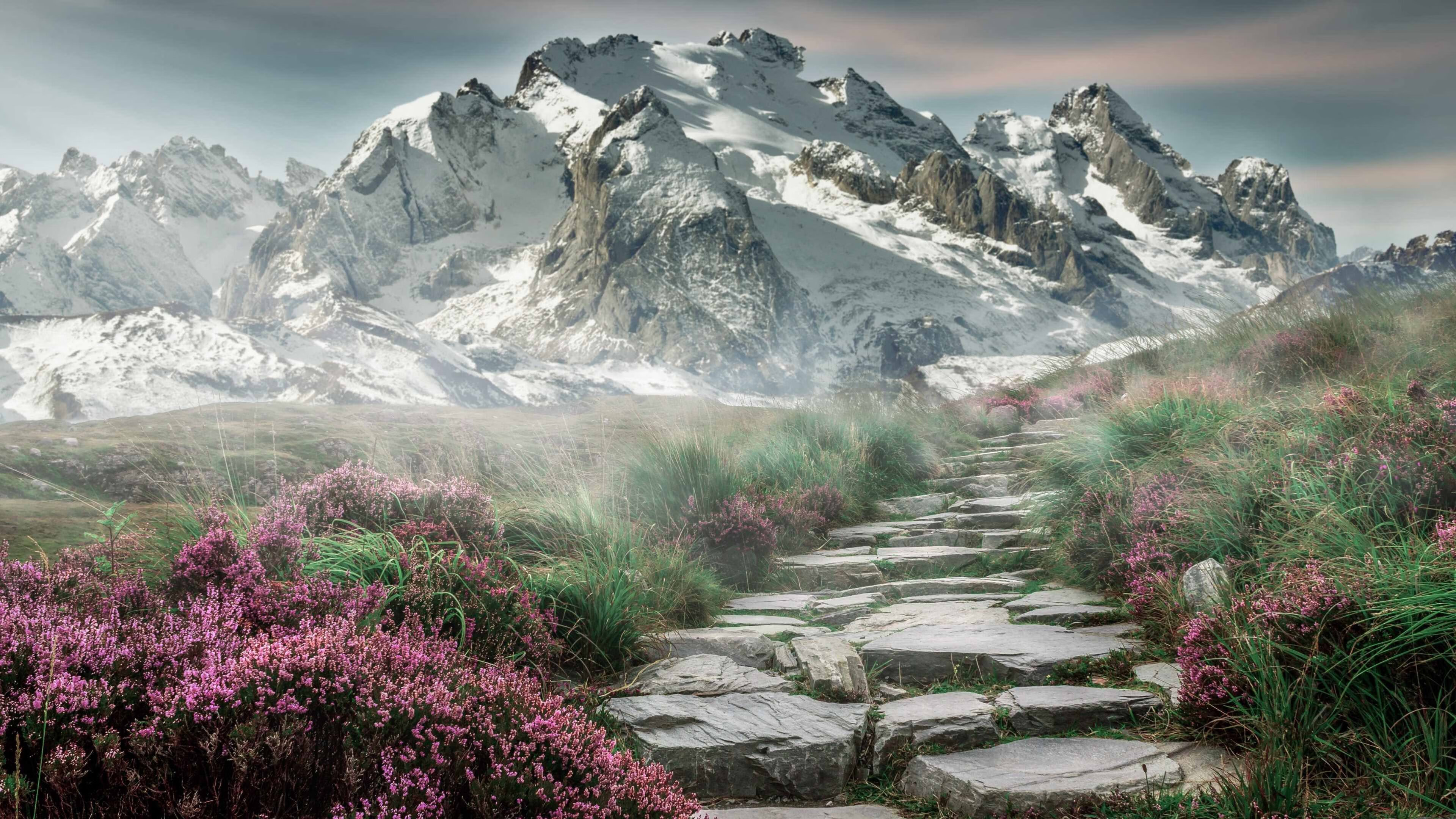 国足技战术执行人员稳定度评估，足球运动员技术定型期