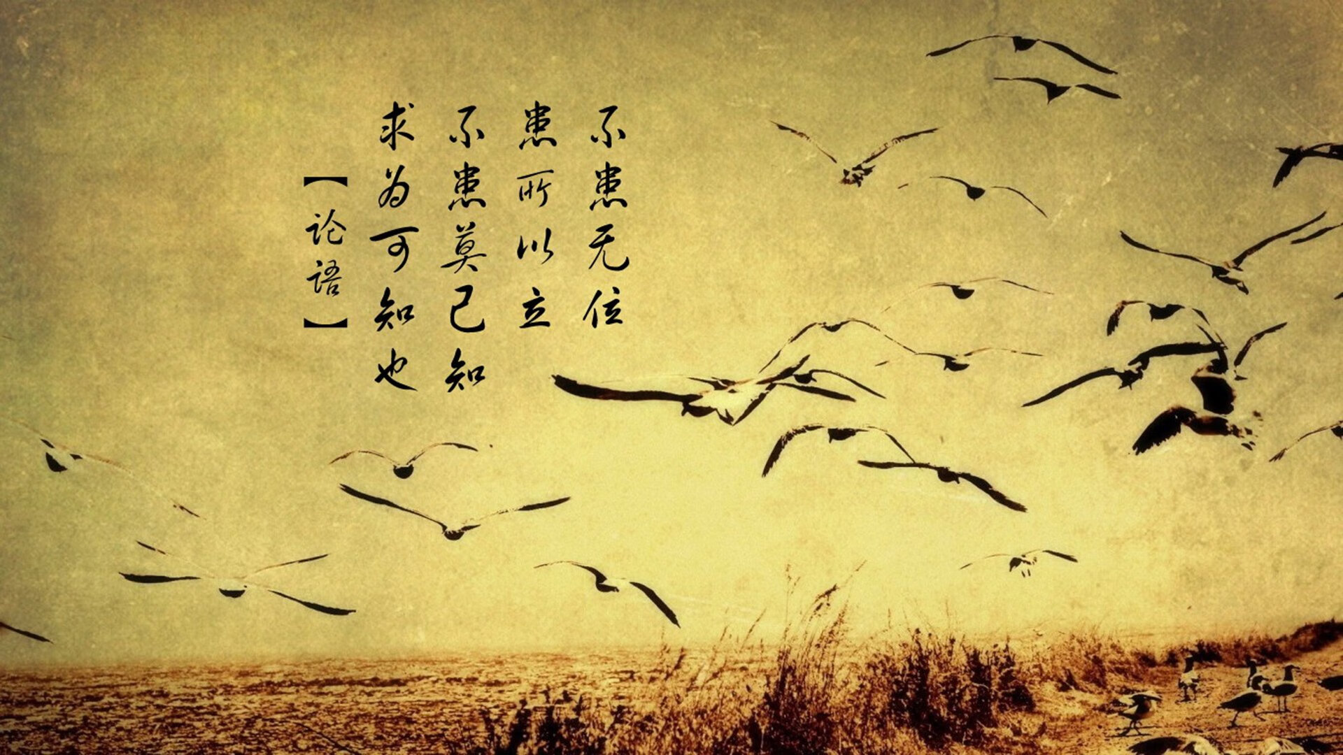 CS职业战队训练系统化管理日益完善,cs职业战队队员名字