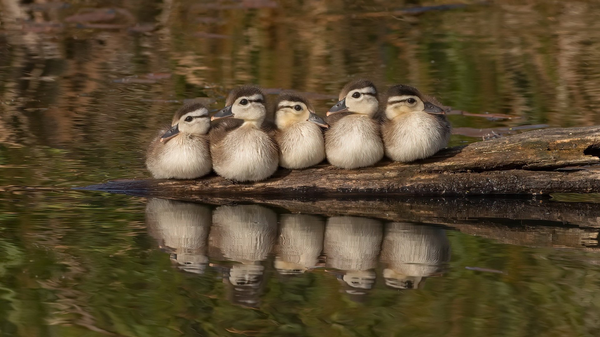 体育mk-乒乓球比赛场地智能化，提升观赛体验，乒乓球比赛场地布置