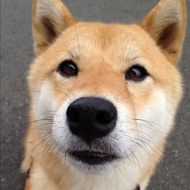 体育新闻中心联合地方平台开设体育公益传播专区,体育新闻官网