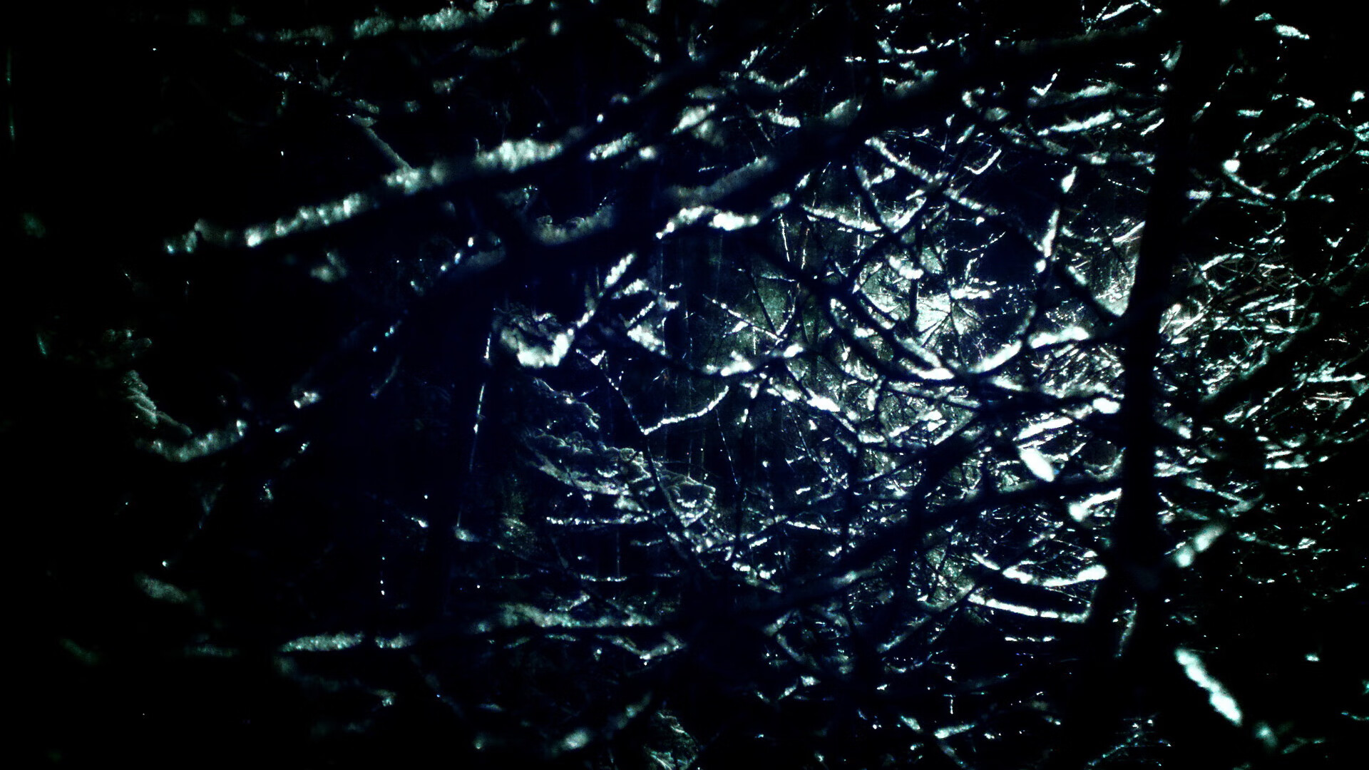 奥预赛中国队夺冠 球迷集体庆祝辉煌时刻,中国奥预赛直播