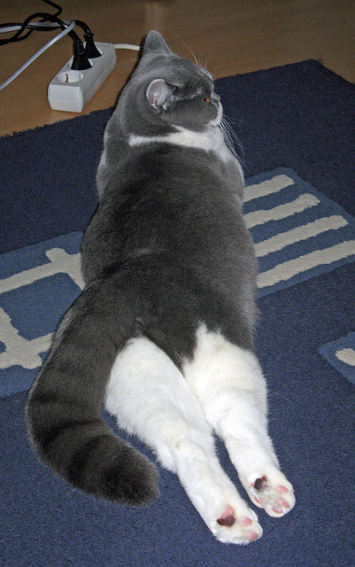 校园足球与社会足球资源对接不畅，校园足球现状及存在问题