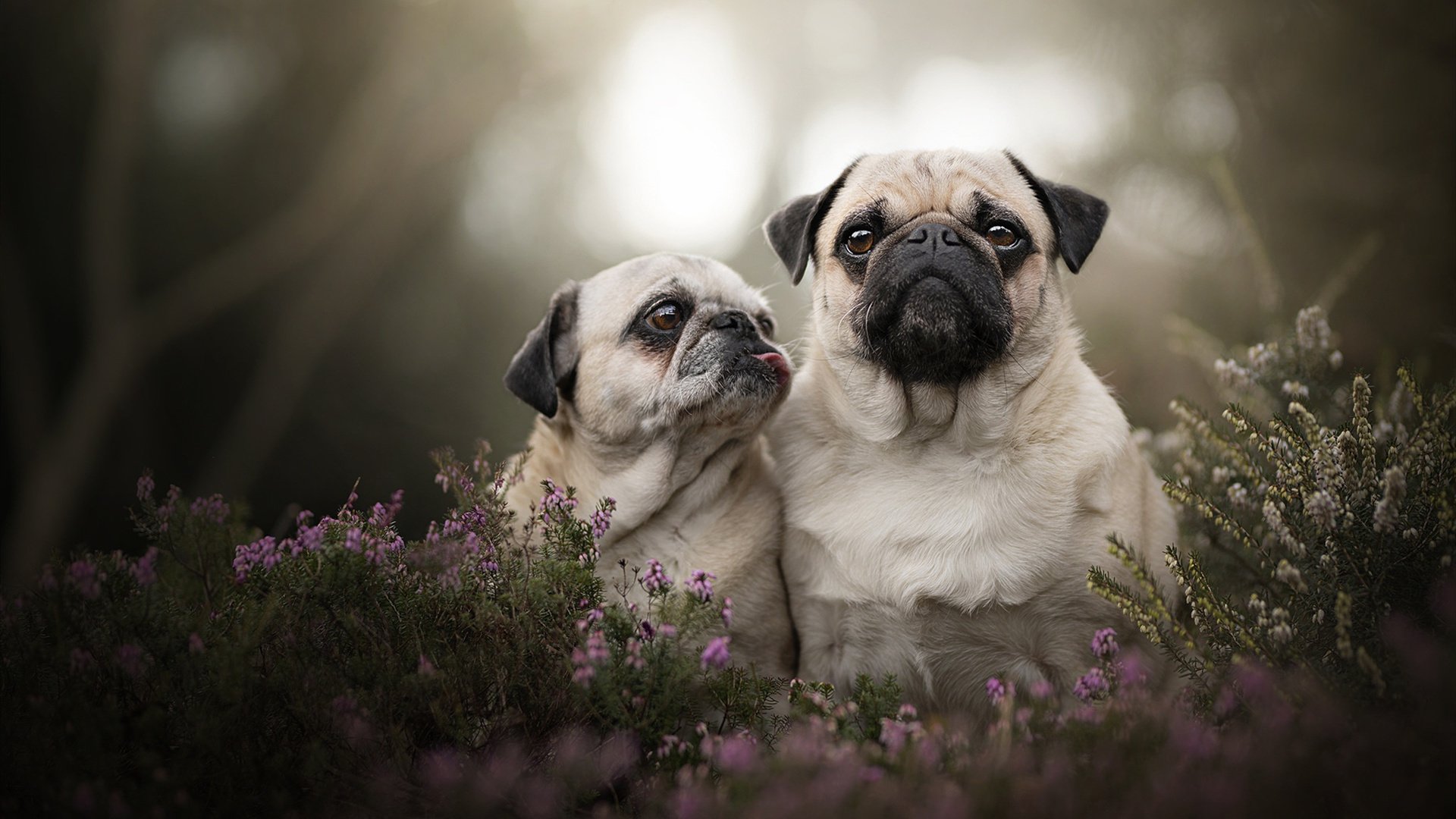 皇马中场掌控力强势锁定胜局,皇马中场经典组合