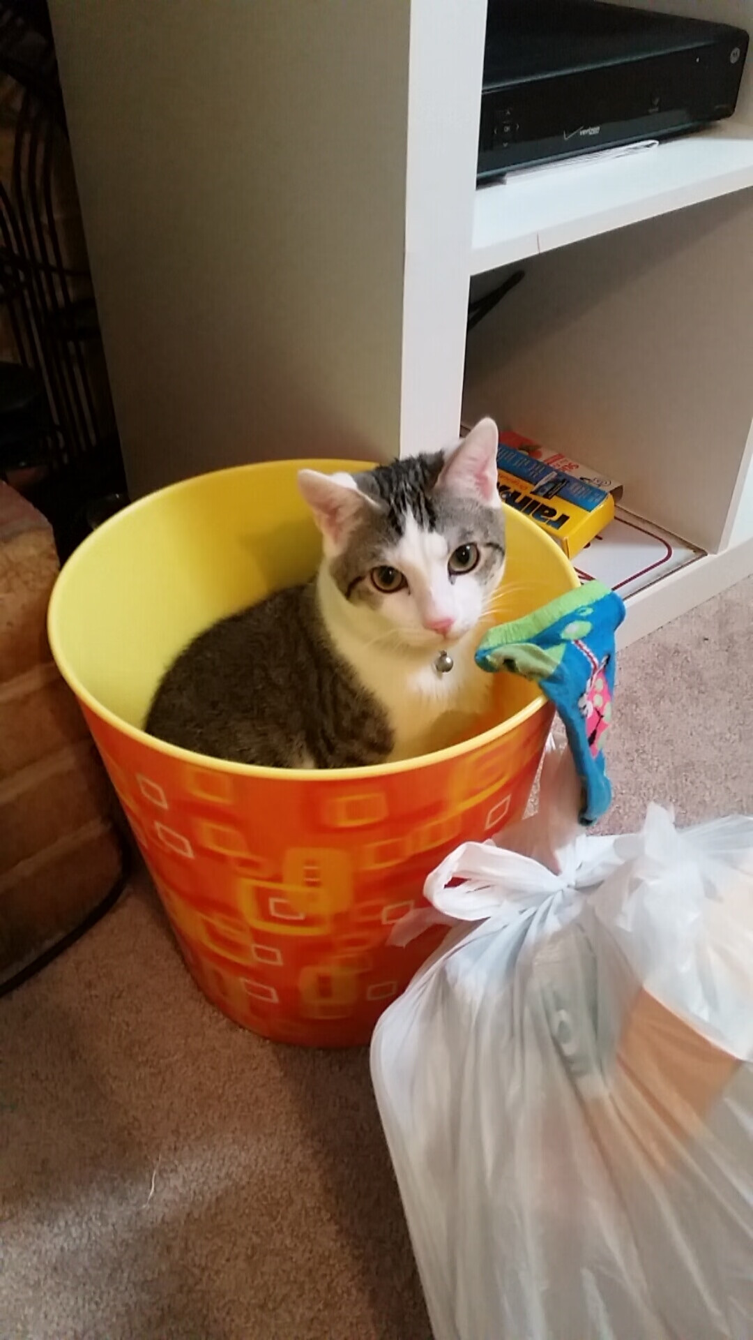 mk体育官方网站-羽毛球公开赛新增青年B组组别鼓励参与，2020青少年羽毛球精英赛