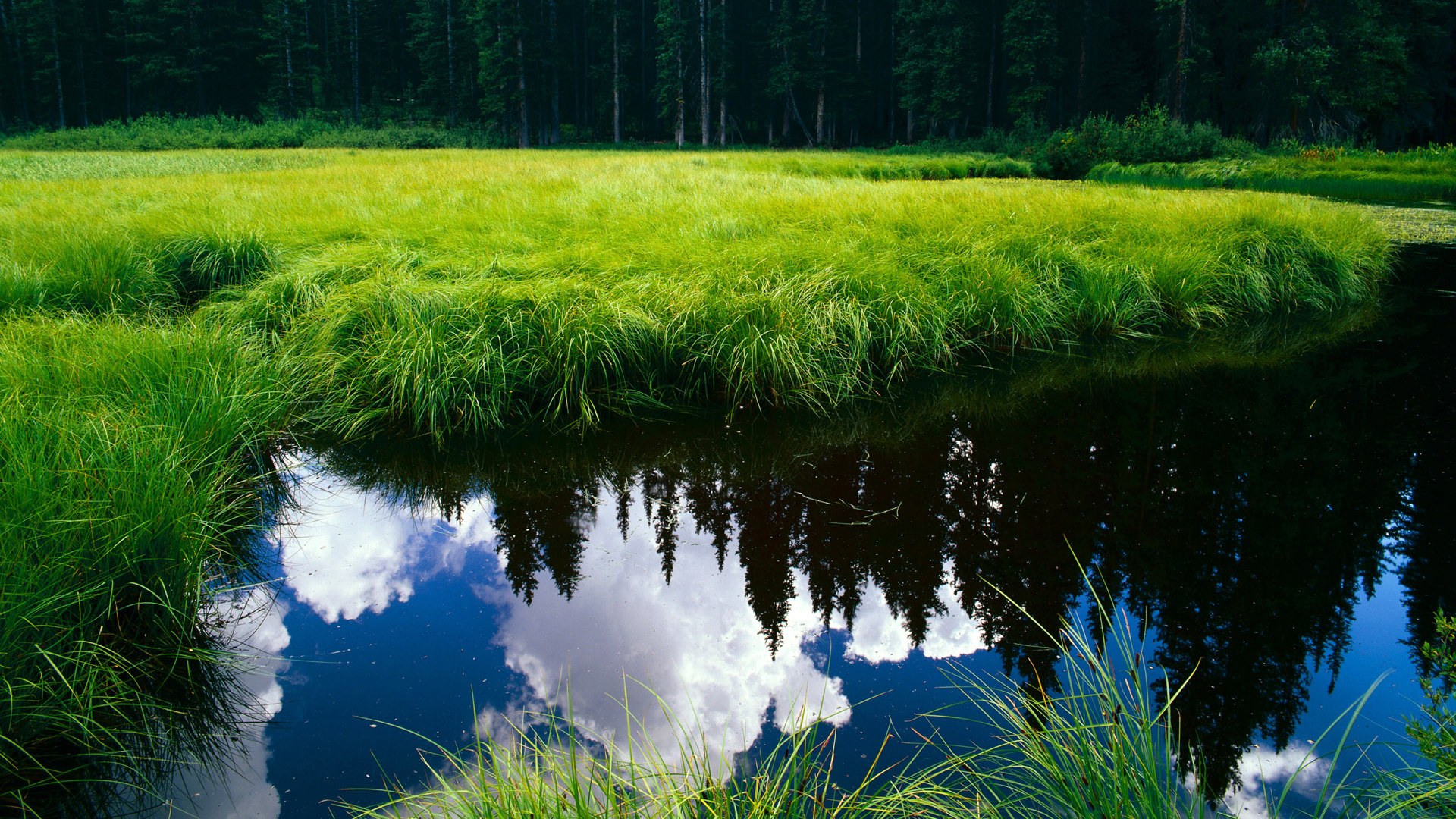 CBA新赛季赛制改革加入复赛机制提升赛事观赏张力,cba复赛第一阶段结束