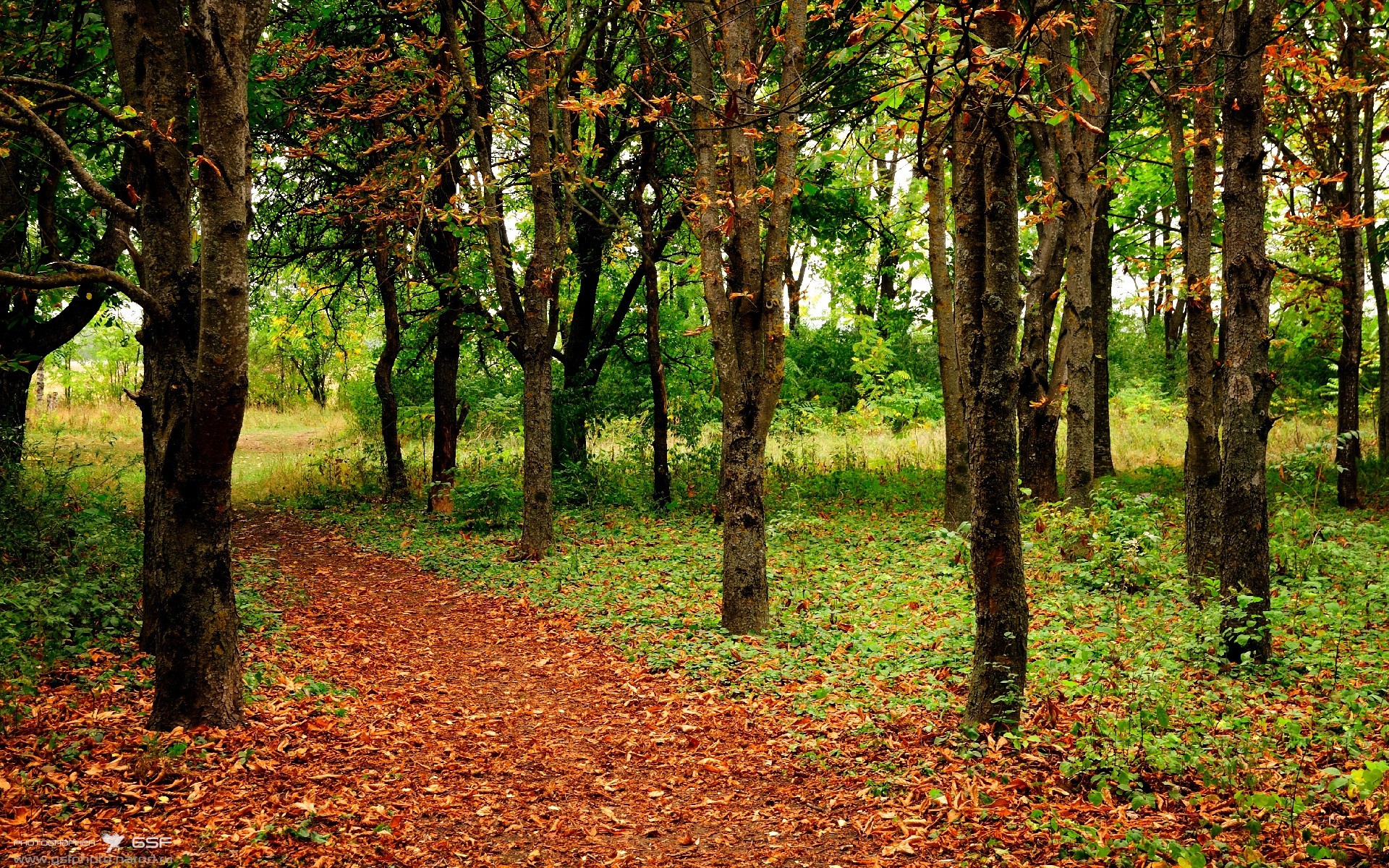 丁俊晖将代表中国出战世界大奖赛，丁俊晖获奖