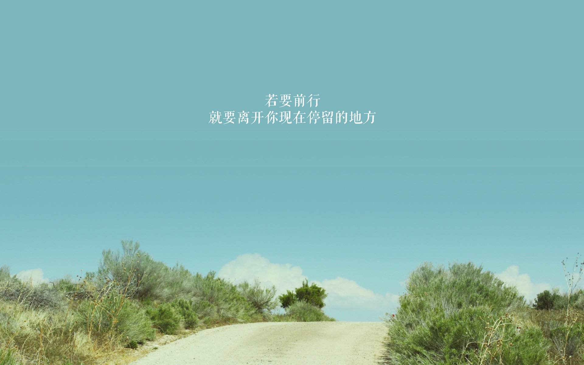 中国队泳姿优雅，技术细腻引关注，中国队游泳赛程